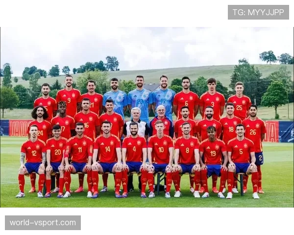 比利时国家队近期整体稳定性下降，后防线人员状态问题影响大赛备战进程
